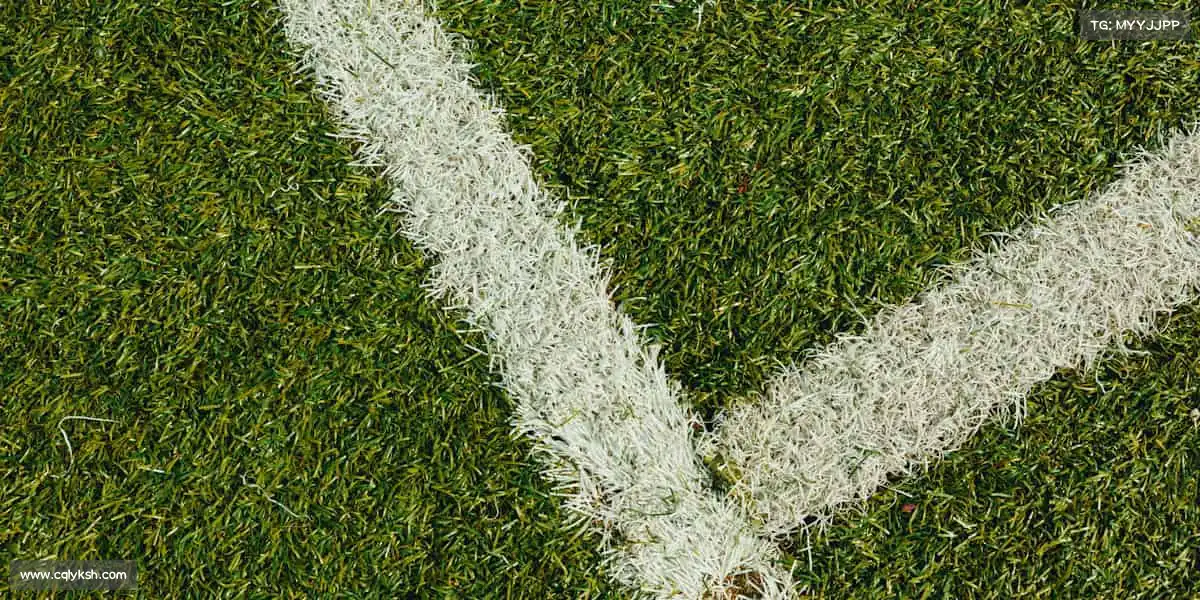 milan米兰每一次跳跃、奔跑，都是对自己的超越！📈✨